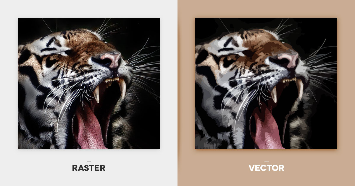 difference between vector and raster